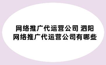 网络推广代运营公司 泗阳网络推广代运营公司有哪些
